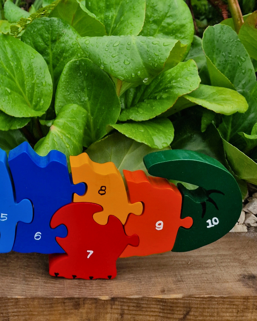 Crocodile Number(1-10)