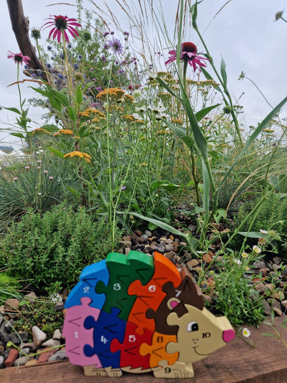 Hedgehog  Number (1-10)