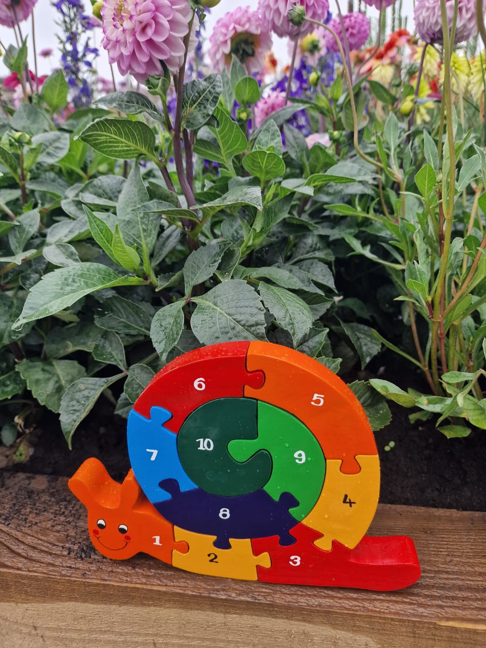 Snail Number