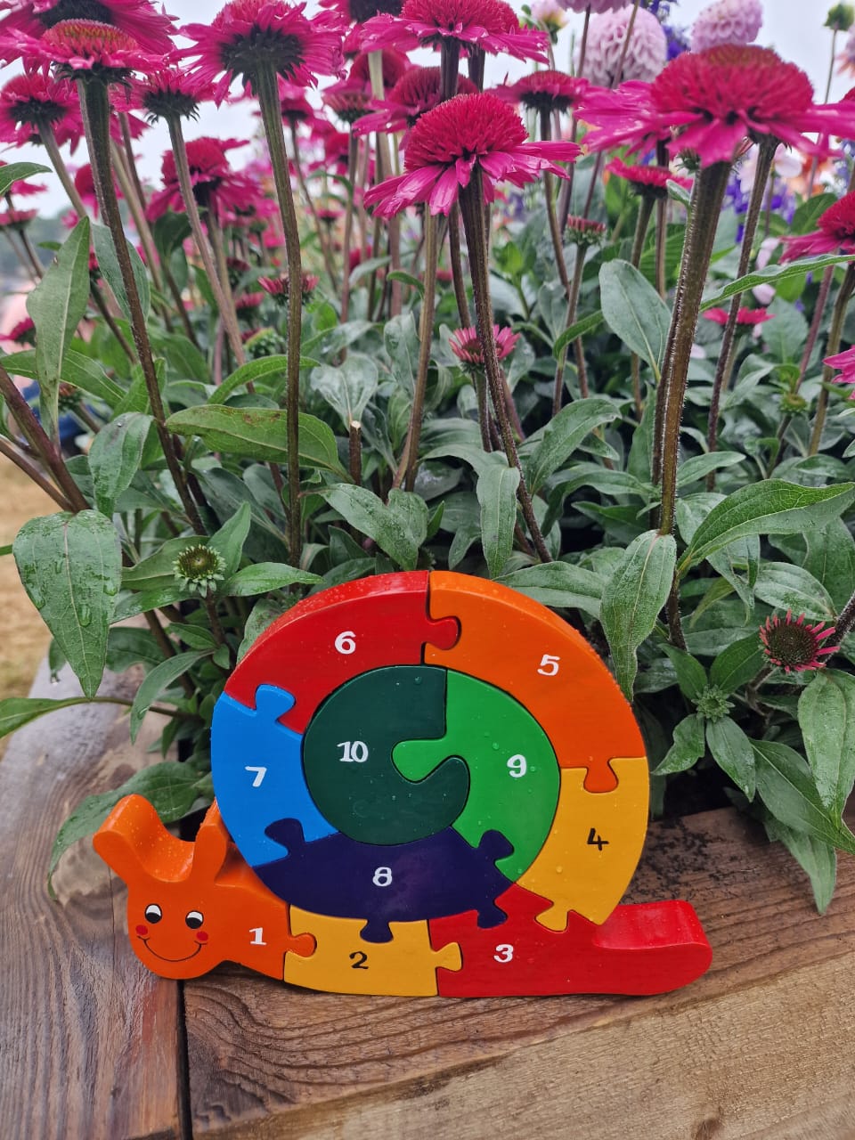 Snail Number