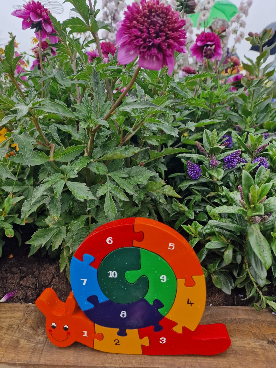 Snail Number