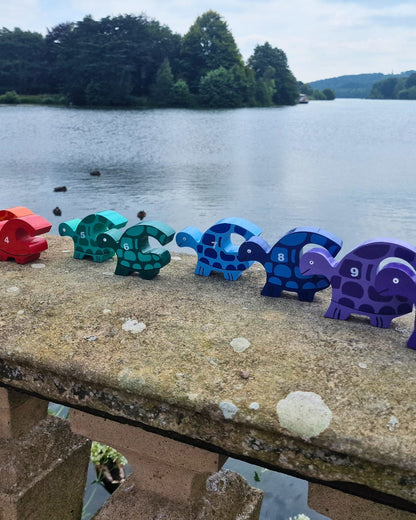 Tortoise Row Number (1-10)