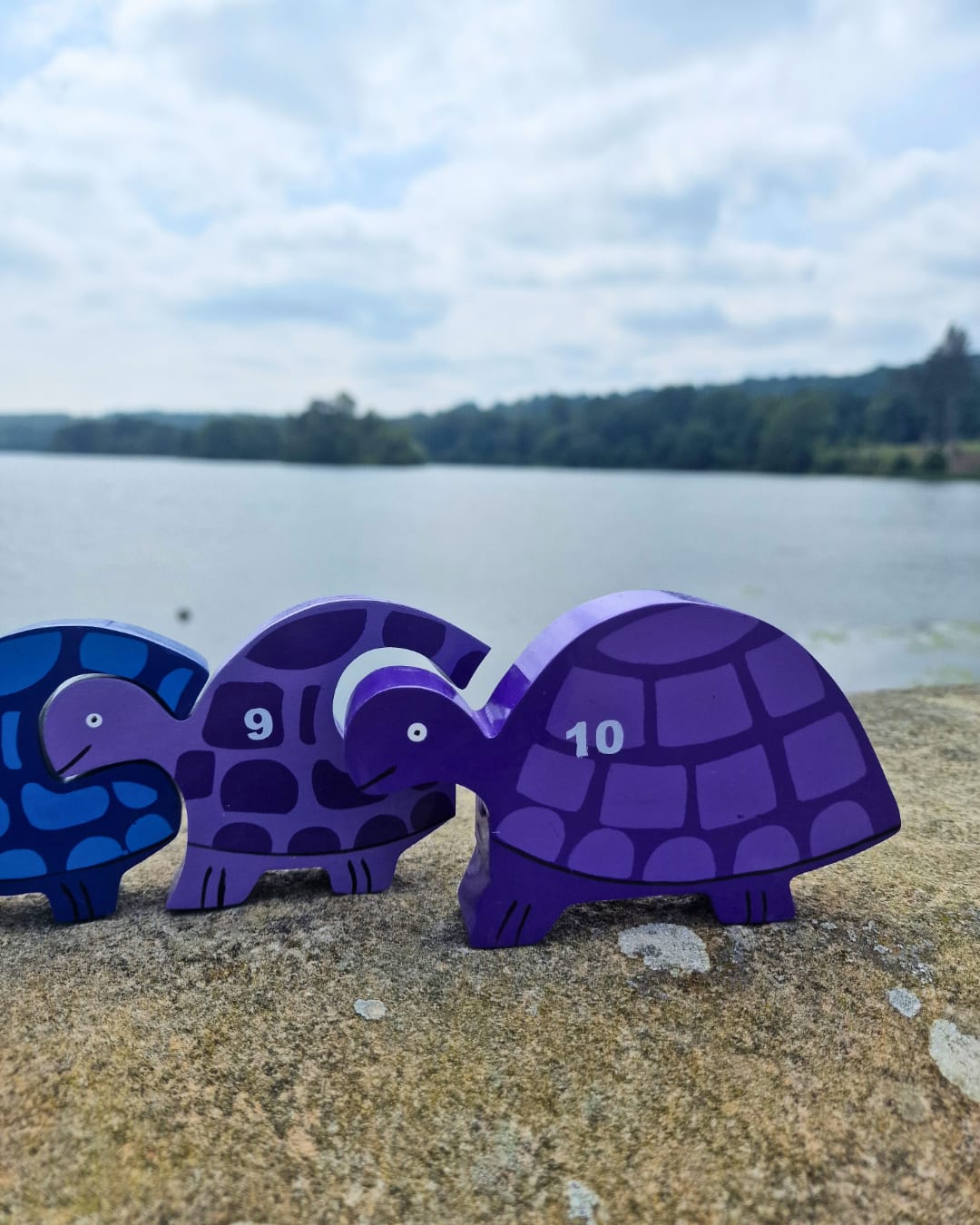 Tortoise Row Number (1-10)