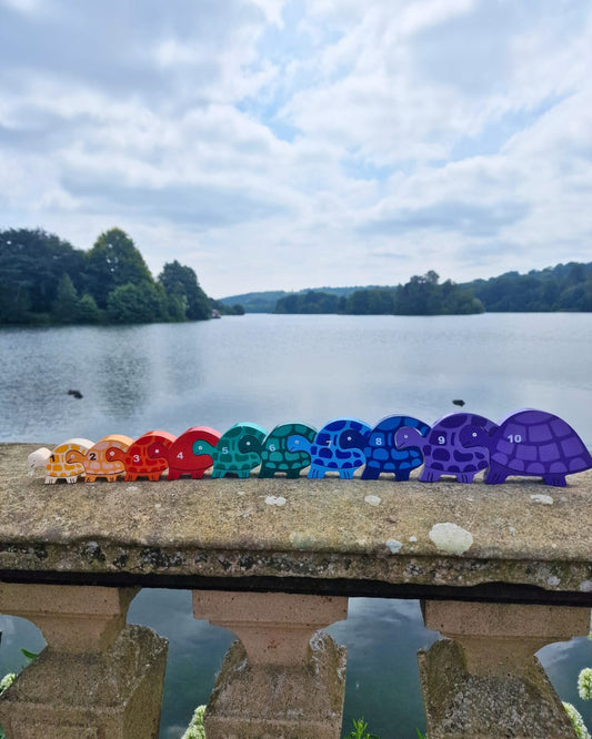 Tortoise Row Number (1-10)