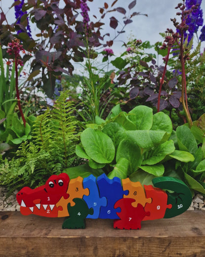 Crocodile Number(1-10)